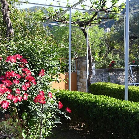 Art Flowers And Culture ميستراس المظهر الخارجي الصورة