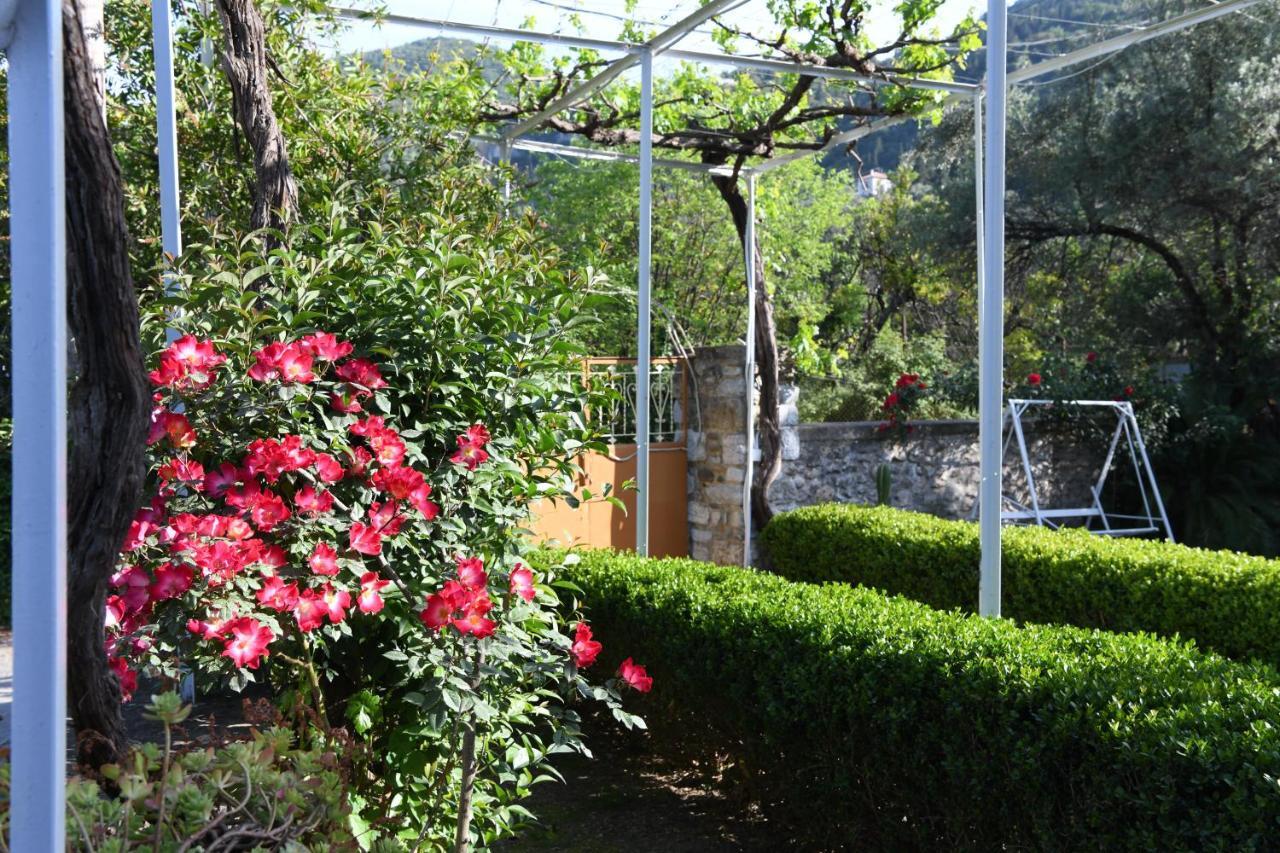Art Flowers And Culture ميستراس المظهر الخارجي الصورة