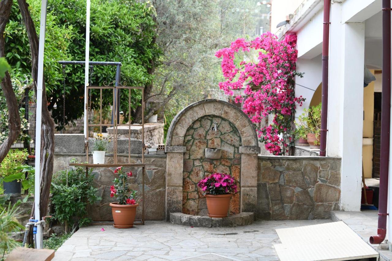 Art Flowers And Culture ميستراس المظهر الخارجي الصورة