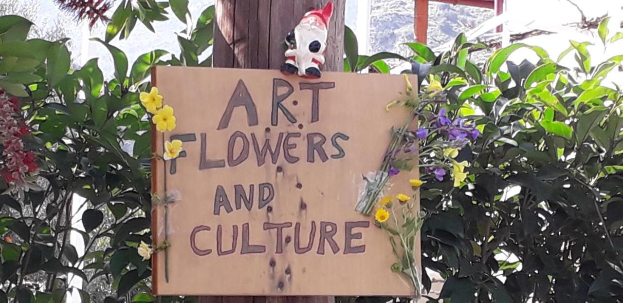 Art Flowers And Culture ميستراس المظهر الخارجي الصورة